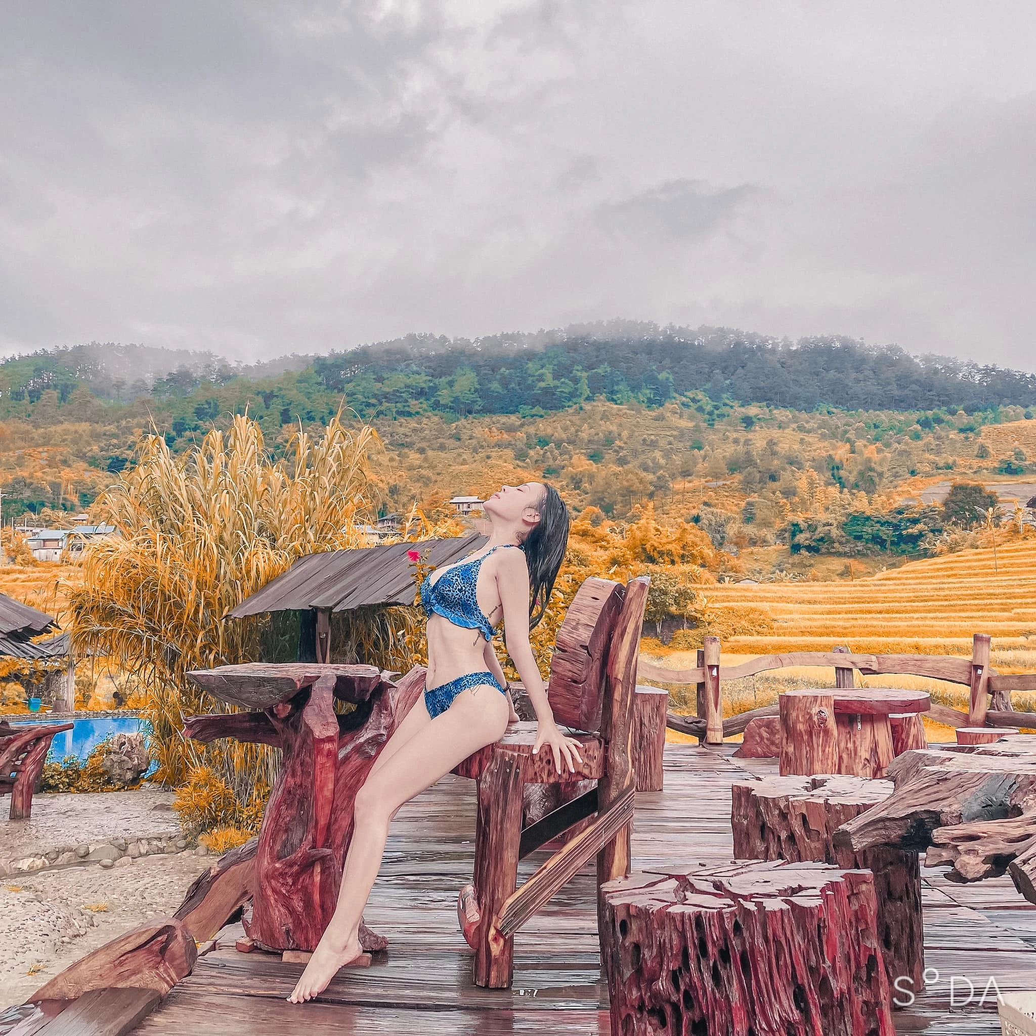 Phạm thị ngọc linh 7